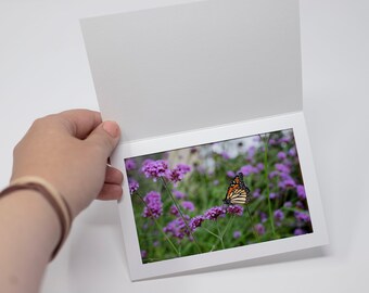 Monarch Butterfly Print