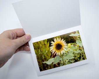 Botanical Garden Flower Photo Print