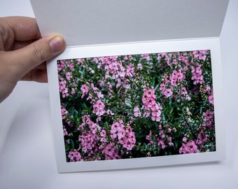 Pink Flowers Photo Print