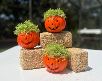 Halloween Dollhouse Miniature Jack O Lantern Table Decor Halloween Pumpkin Trick Or Treat Mini Planter Spooky Moss 1:12 Hay Decorations