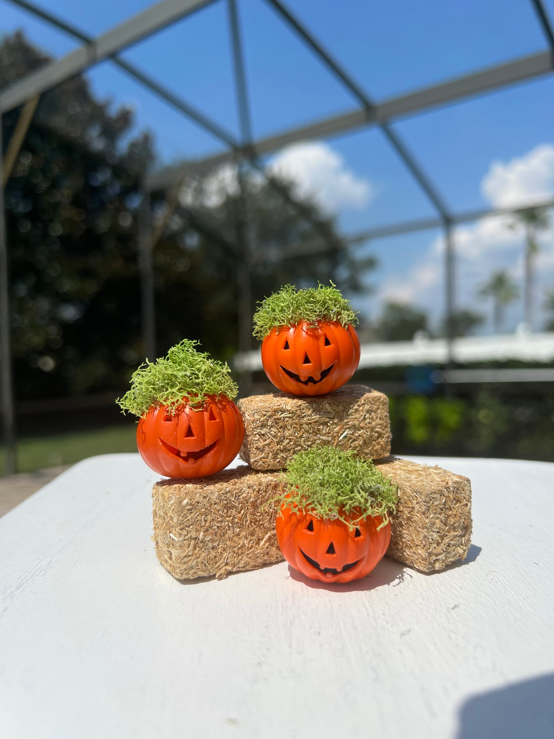 Dollhouse Miniature Halloween Jack O Lantern Table Decor Halloween ...