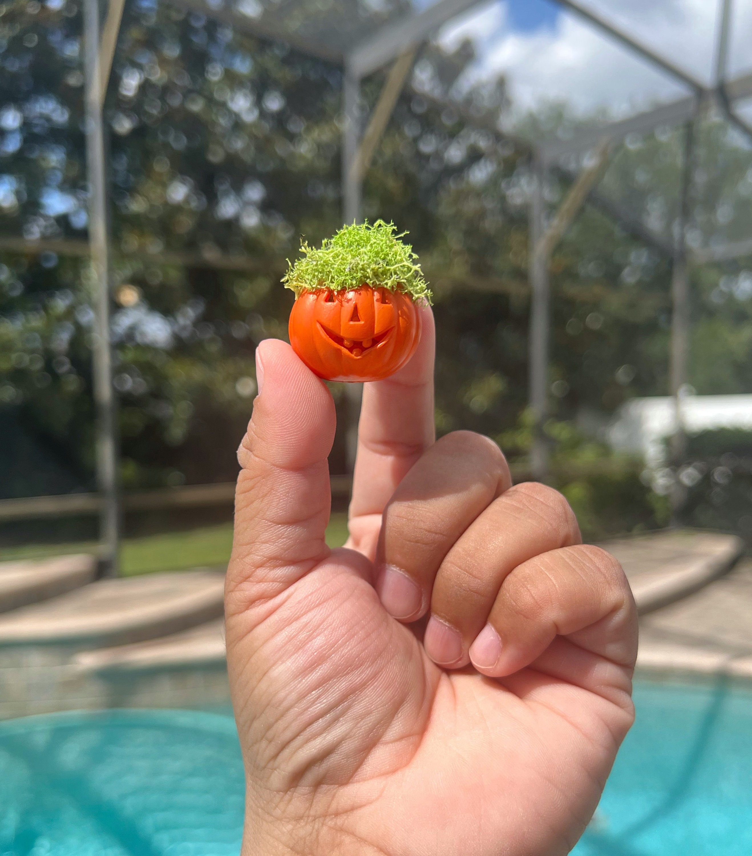 Halloween Dollhouse Miniature Jack O Lantern Table Decor Halloween ...