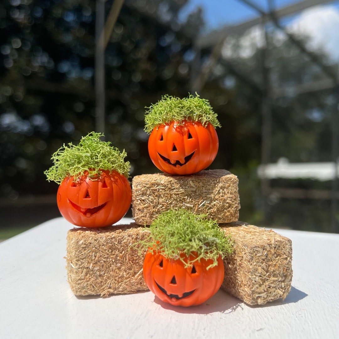 Halloween Dollhouse Miniature Jack O Lantern Table Decor Halloween ...