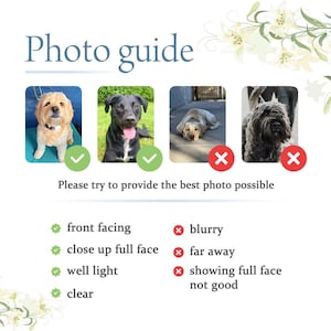 May include: A graphic with the text "Photo guide" and examples of dog photos. The guide shows examples of good and bad photos, with check marks for good photos and X marks for bad photos. The text "Please try to provide the best photo possible" is also included.