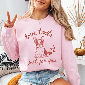 Boston Terrier Sweatshirt Boston Terrier Gift Dog Sweatshirt Pet Lover Gift Dog Owner Gift Funny Boston Terrier Shirt Boston Terrier Mom