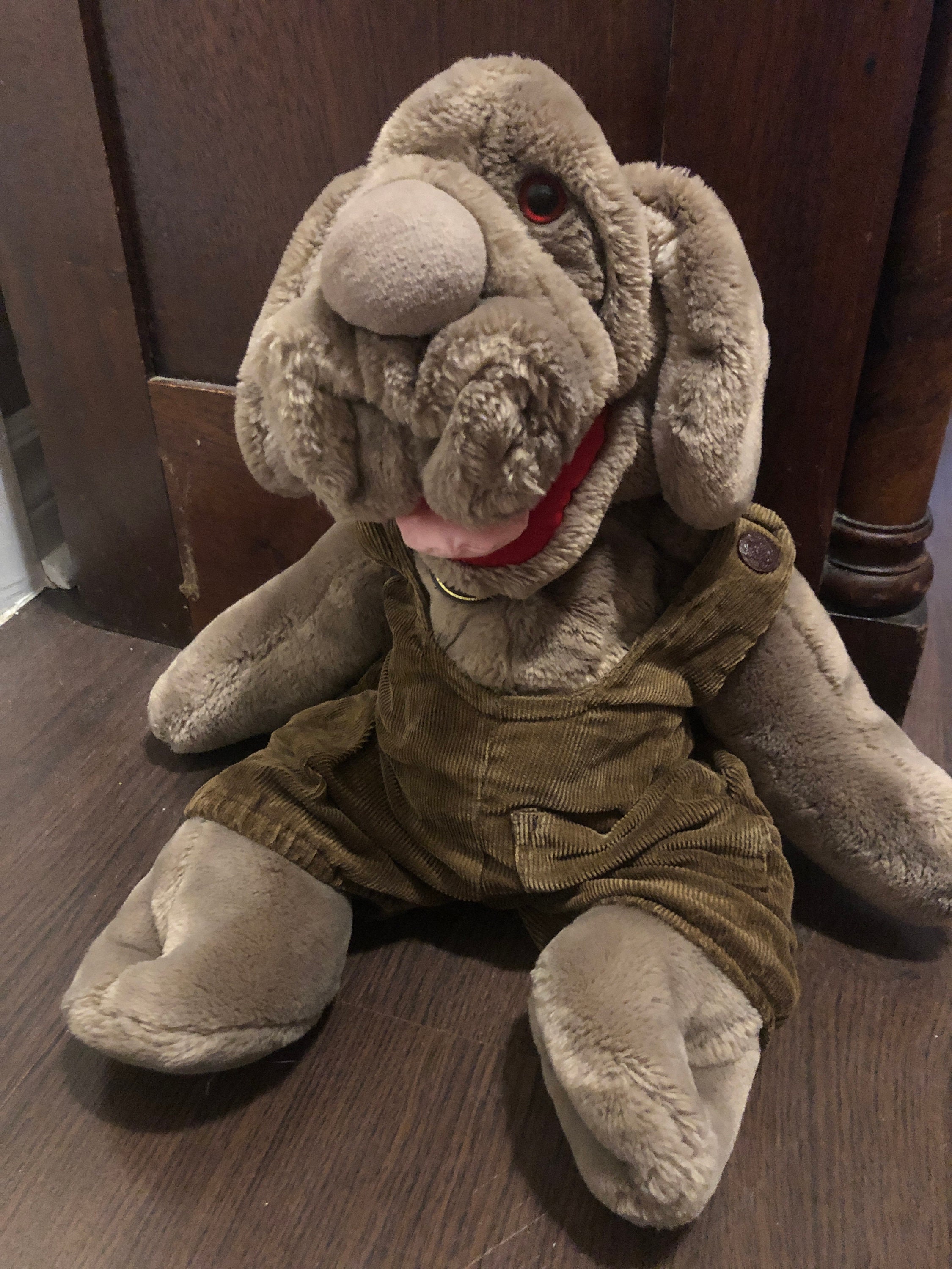 wrinkles soft toy dog