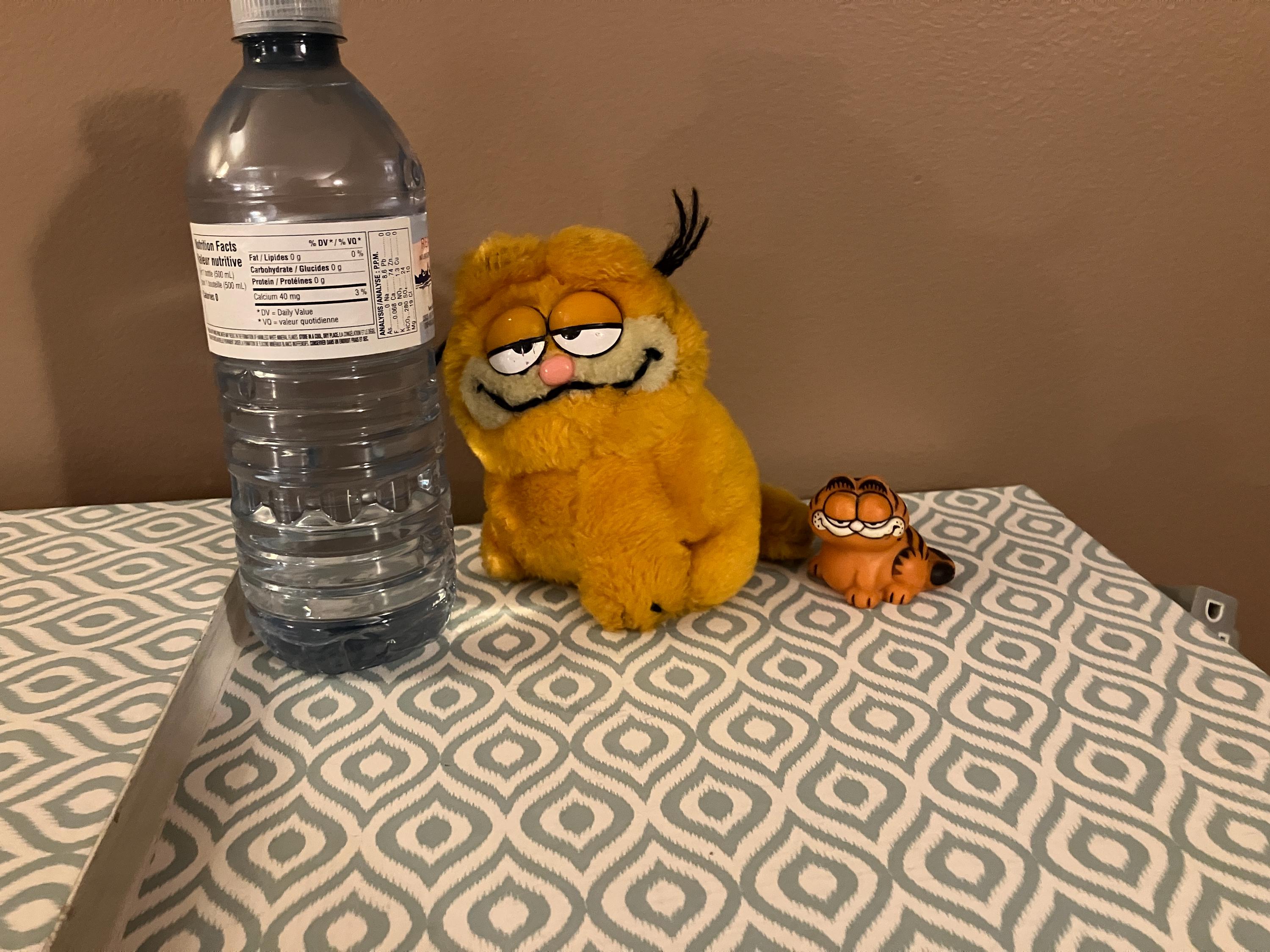 1978 Mini Garfield Figurine/1981 Plush Garfield - Etsy