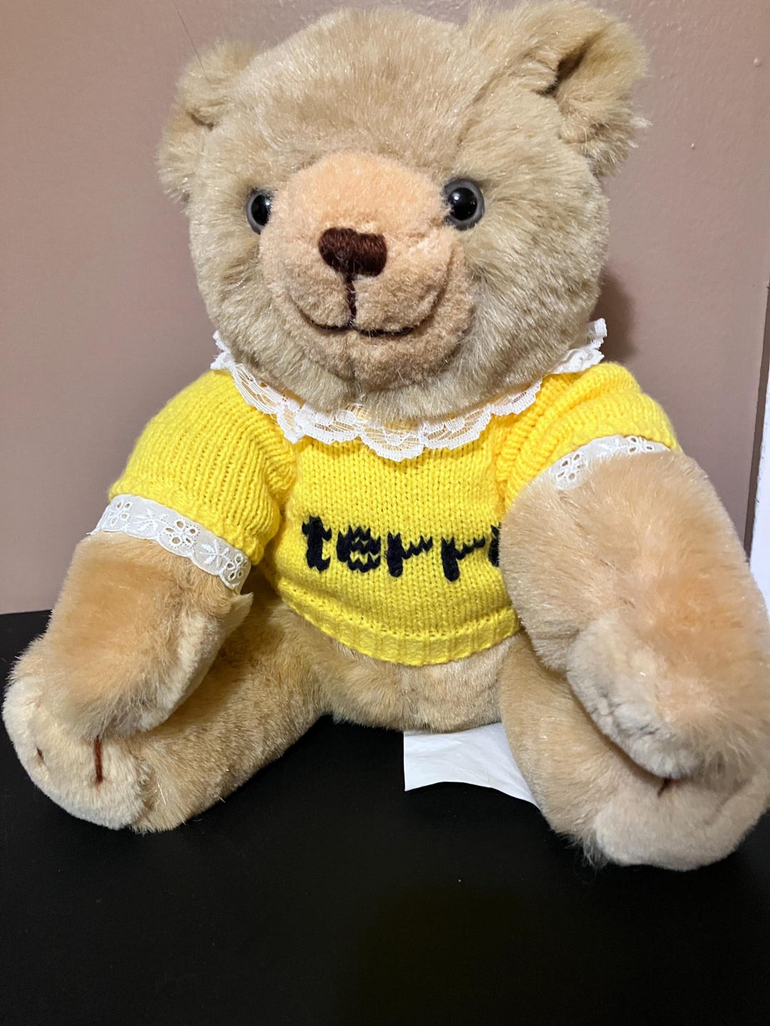 Vintage 1993 Terri Teddy Bear From President's Choice Canada