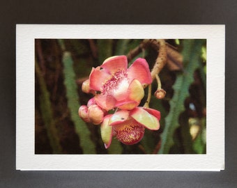 3.5"x5" Tropical Flowers Photo Greeting Cards - From Hawaii's Big Island - Boxed Set of 5 FOlding Note Cards with Envelopes - Ships Free