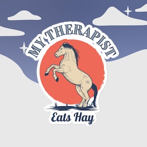 Horse Sticker, Horse gifts, Sticker for horse lovers, Horse Lovers Gift, Country Sticker, Farm Sticker, Therapy, Equestrian, Riding Sticker