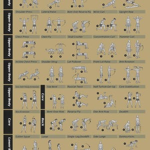 Ejercicios con mancuernas Posturas con mancuernas Conocimiento con mancuernas