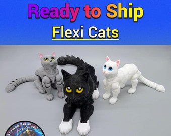 Ready to Ship Flexi Cat Toy | 3D Printed | Sensory | Fidget