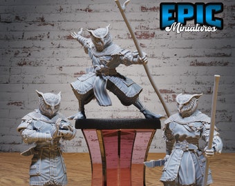 Owlfolk Monk | Epic Miniatures | TTRPG | DnD Mini | D&D | 28mm | Medium Scale