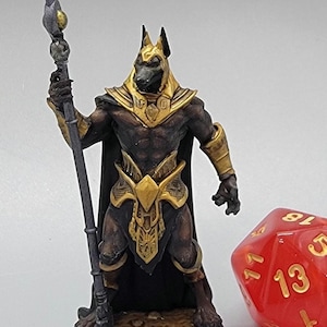 Jackal | Cripta Studios | TTRPG | DnD | Pathfinder | D&D | 32mm | 75mm