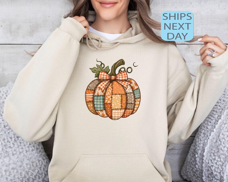 May include: A beige hoodie featuring a colorful pumpkin design. The pumpkin is made of various fabric patches in orange, brown, and green, with a bow and stem. The text "SHIPS NEXT DAY" is in a blue box.