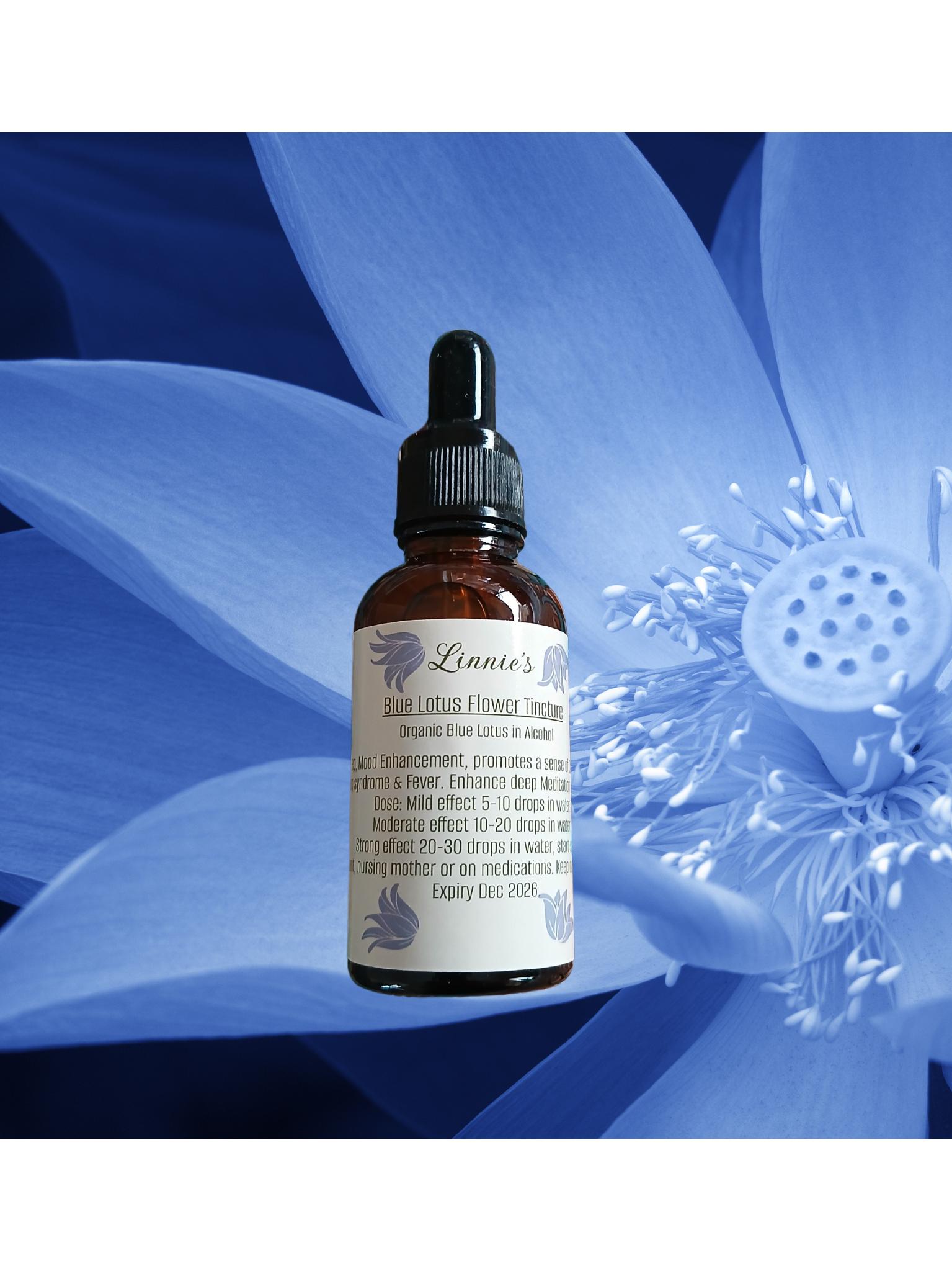Shroompalumpa Reishi Non Alcohol Tincture | 50ml 🍄45 Day Quality Guarantee