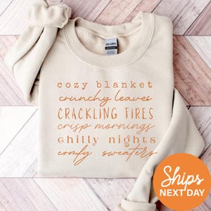 Cozy Fall Sweatshirt, Autumn Vibes Hoodie, Comfy Sweaters Crewneck, Aesthetic Thanksgiving Gift