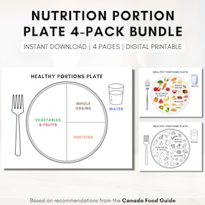 Healthy Portions Plate, Visual Nutrition Eating Guide, Food Portion Control, Dietitian Worksheet, Canada Food Guide Digital Printable image 1