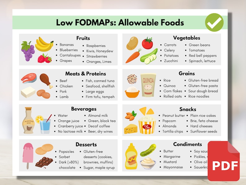 FODMAP Diet Food Guide IBS Food List Intestine Inflammation Etsy