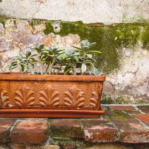 Mission Planter Poster