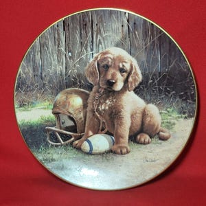 VTG Good Sport Dekorativer Teller Wide Retriever Jim Lamb 1989
