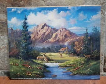 Lámina artística vintage sin marco con escena de vida silvestre: ciervo de cola blanca, 1994.