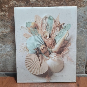 Könnte beinhalten: Gerahmtes Kunstwerk mit einer Anordnung von Muscheln in Beige-, Blau- und Weißtönen. Die Komposition umfasst verschiedene Muscheln, ein Seepferdchen und Seesterne, die ein Küstenmotiv bilden. Der Name des Künstlers, Judith, ist sichtbar.