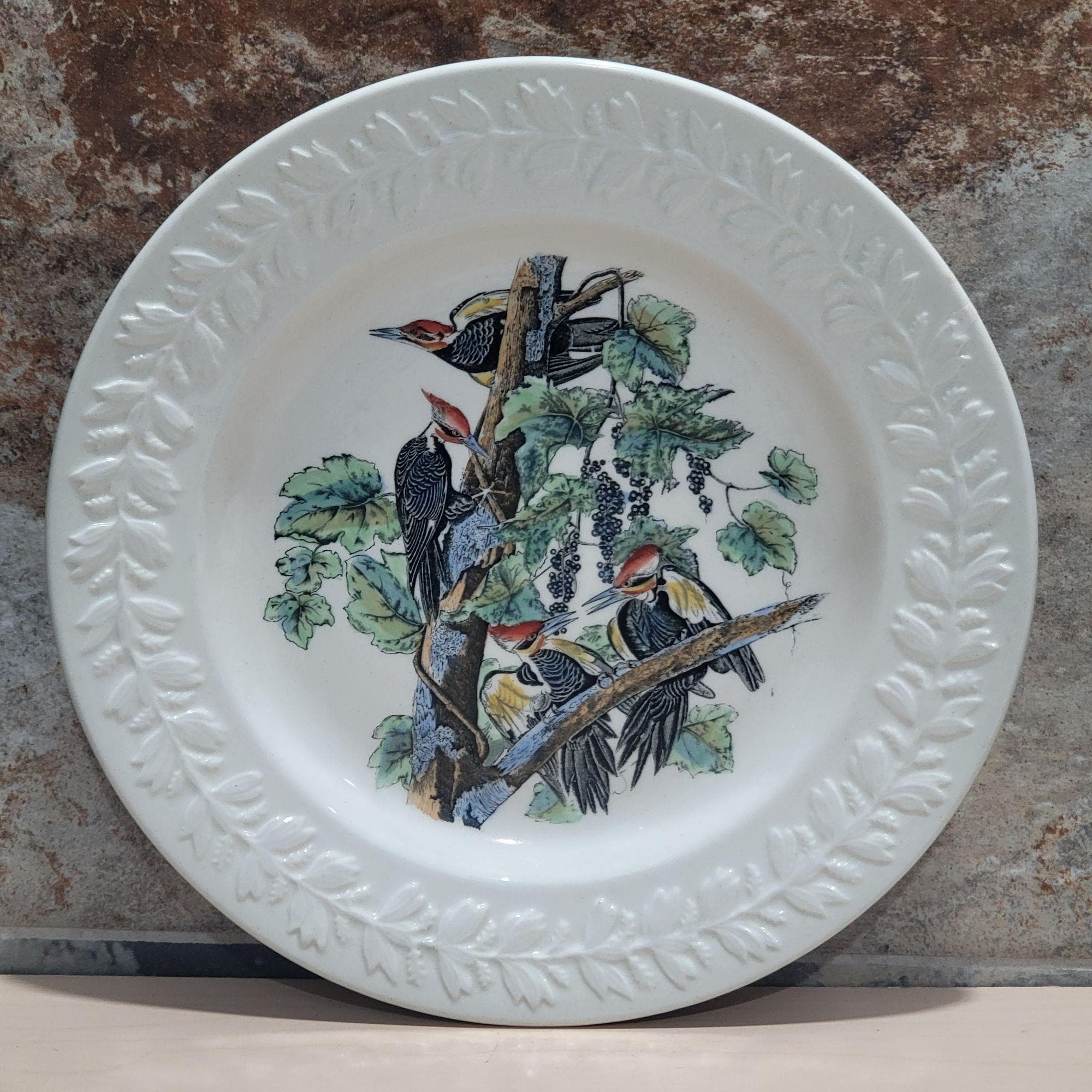 Spode Audubon Birds - Etsy