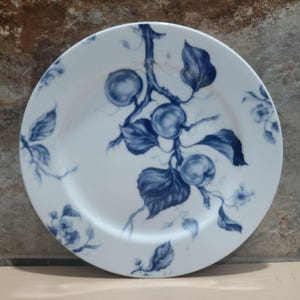 Decorative Wall Plate Ormonde Williams Sonoma Porcelain Blue Salad Plate