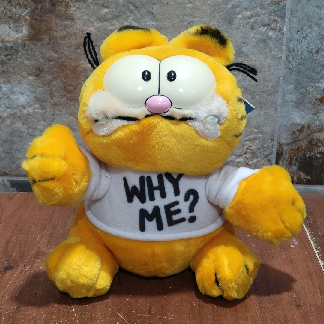 Vintage Dakin Garfield Plush Toy WHY ME White T Shirt 1981 - Etsy