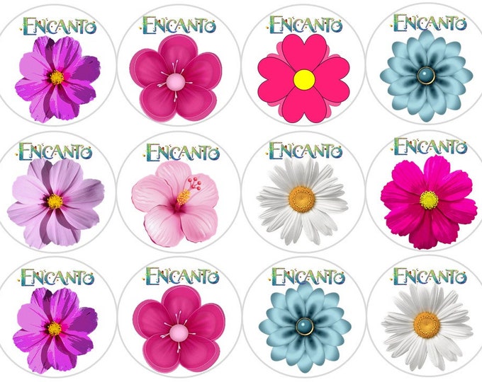 Gelatin Transfers Only (Charm) 12 x 2.5 inch round