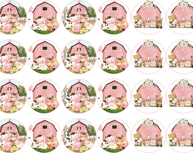Gelatin Transfers Only (Pink Farm) 24 x 1.5 inch round