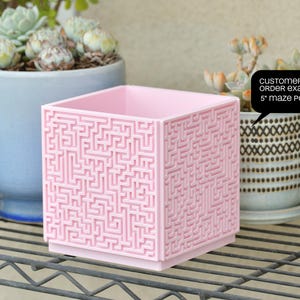May include: A pink 5 inch square planter with a maze pattern. The planter is sitting on a metal shelf with other plants in pots.