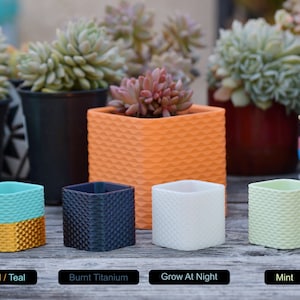 Square Sine Wave Pattern Planter Pot With Drainage - Single or Multiple Color Print - For Small Cactus or Succulent