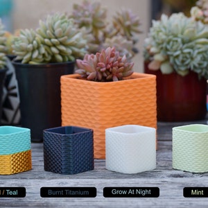 Square Sine Wave Pattern Planter Pot With Drainage - Single or Multiple Color Print - For Small Cactus or Succulent