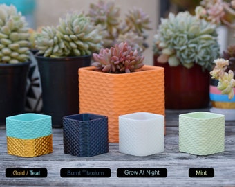 Square Sine Wave Pattern Planter Pot With Drainage - Single or Multiple Color Print - For Small Cactus or Succulent