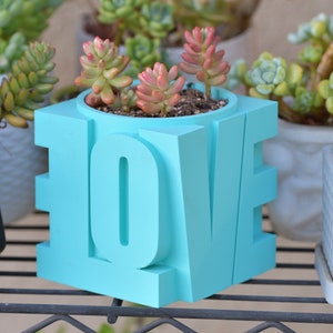 Puede incluir: Una maceta de color azul turquesa con forma de la palabra "LOVE" con suculentas creciendo dentro. La maceta está sentada en un estante de metal negro.