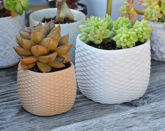Diamond Pattern Succulent Planter Pot – Minimalist Home Decor
