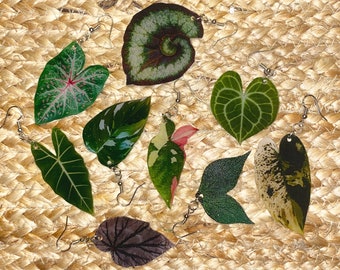 Custom Houseplant Earrings