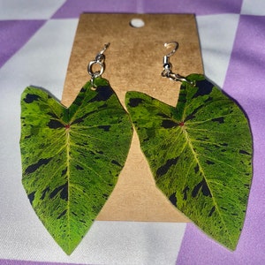 Colocasia-oorbellen met mojitoblad