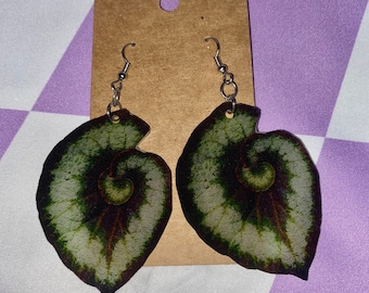 Begonia Escargot Leaf Earrings