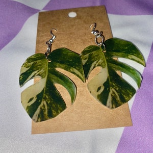 Variegated Monstera Leaf Earrings