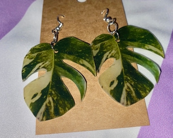 Variegated Monstera Leaf Earrings