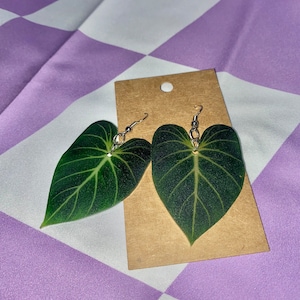 Philodendron Gloriosum Leaf Earrings