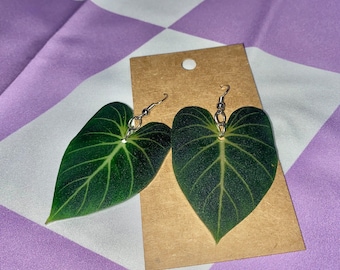 Philodendron Gloriosum Leaf Earrings