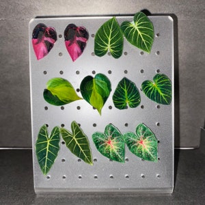Houseplant Leaf Stud Earrings