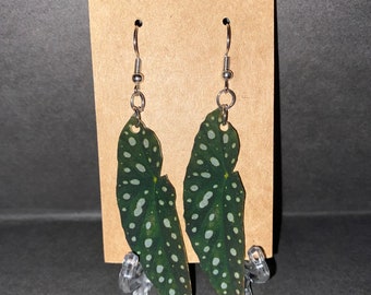 Begonia Maculata Leaf Earrings