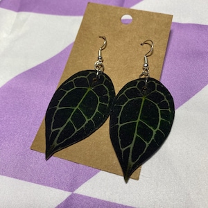 Anthurium Forgetii Leaf Earrings