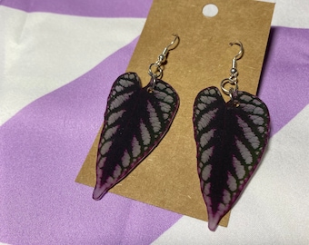 Cissus Leaf Earrings