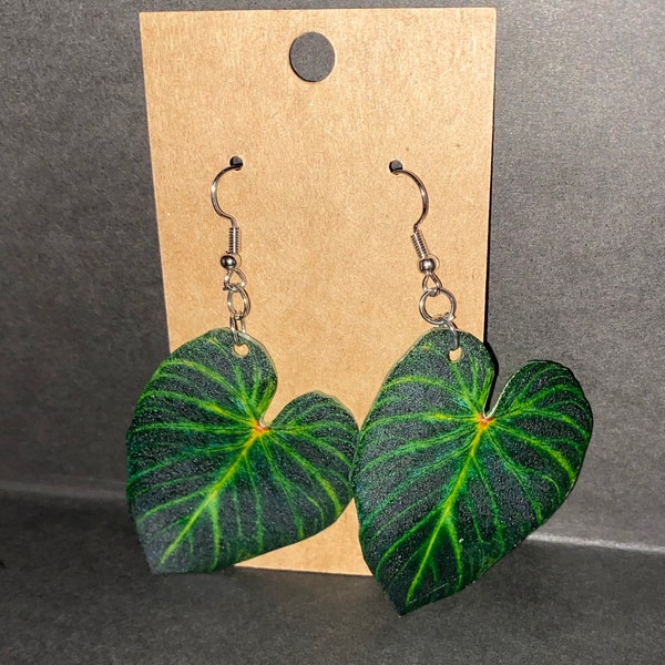 Philodendron Verrucosum Leaf Earrings